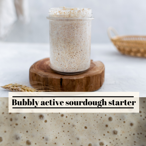 bubbly active sourdough starter 