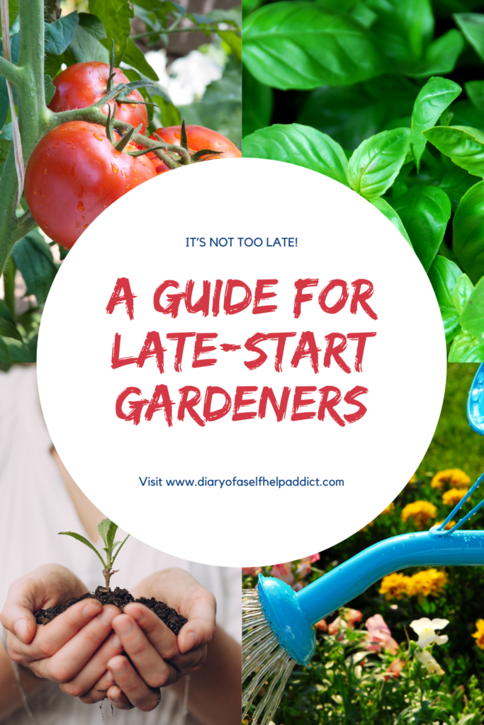 it's not too late! a guide for late-start gardeners.