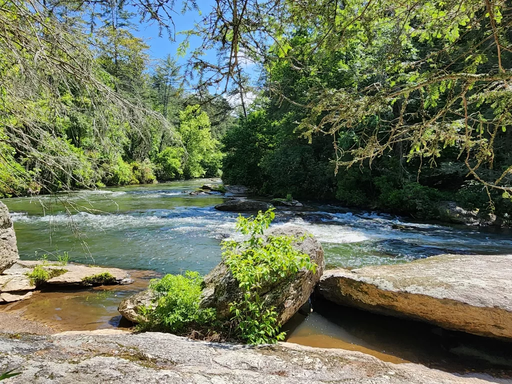 cartecay river loop trail north georgia hiking