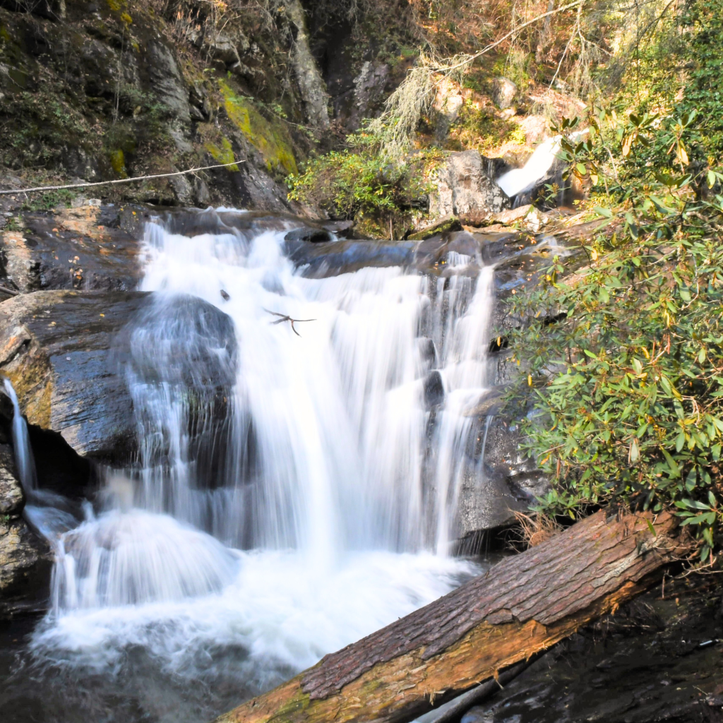 dukes creek falls hiking north georgia