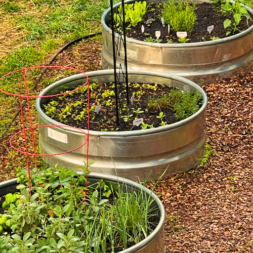 raised bed garden using 36 inch fire pit rings from tractor supply company