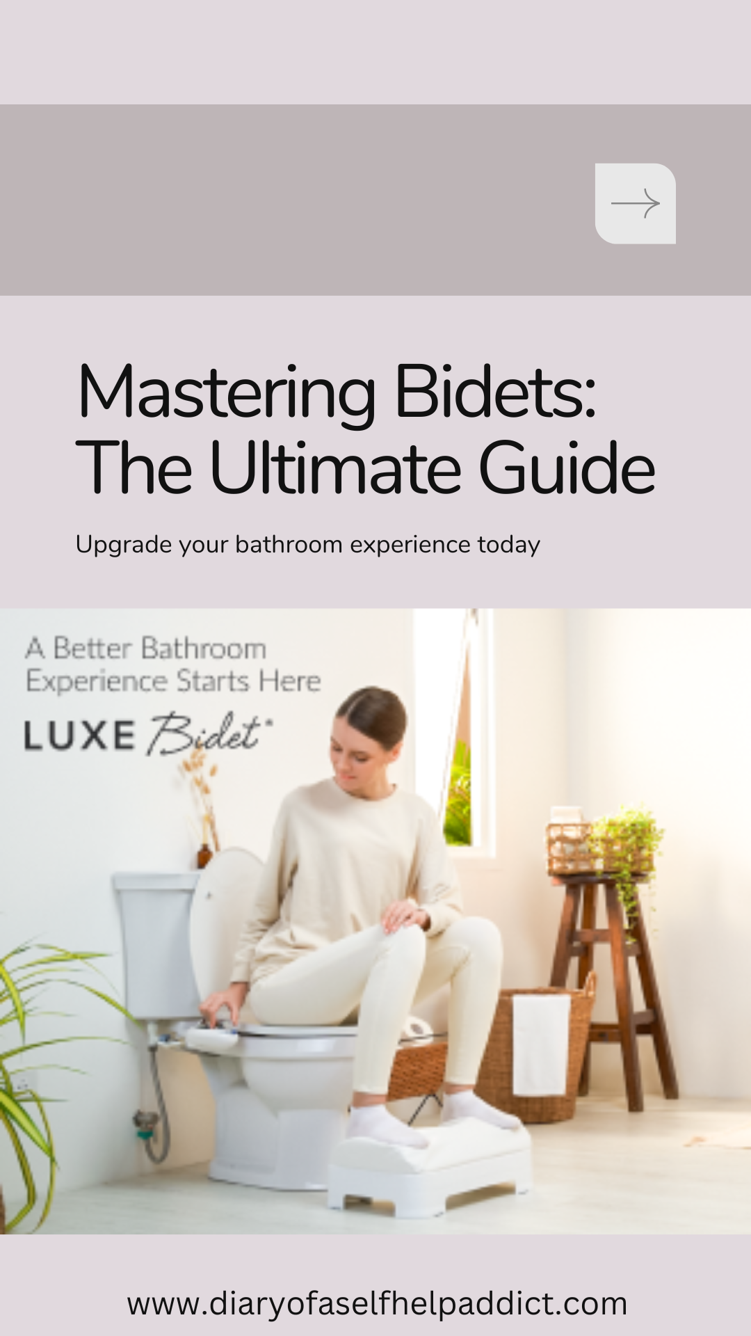 mastering bidets the ultimate guide