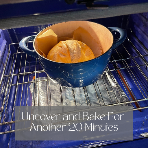 First baked sourdough bread inside a dutch oven