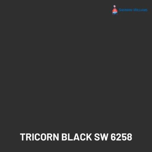 tricorn black paint