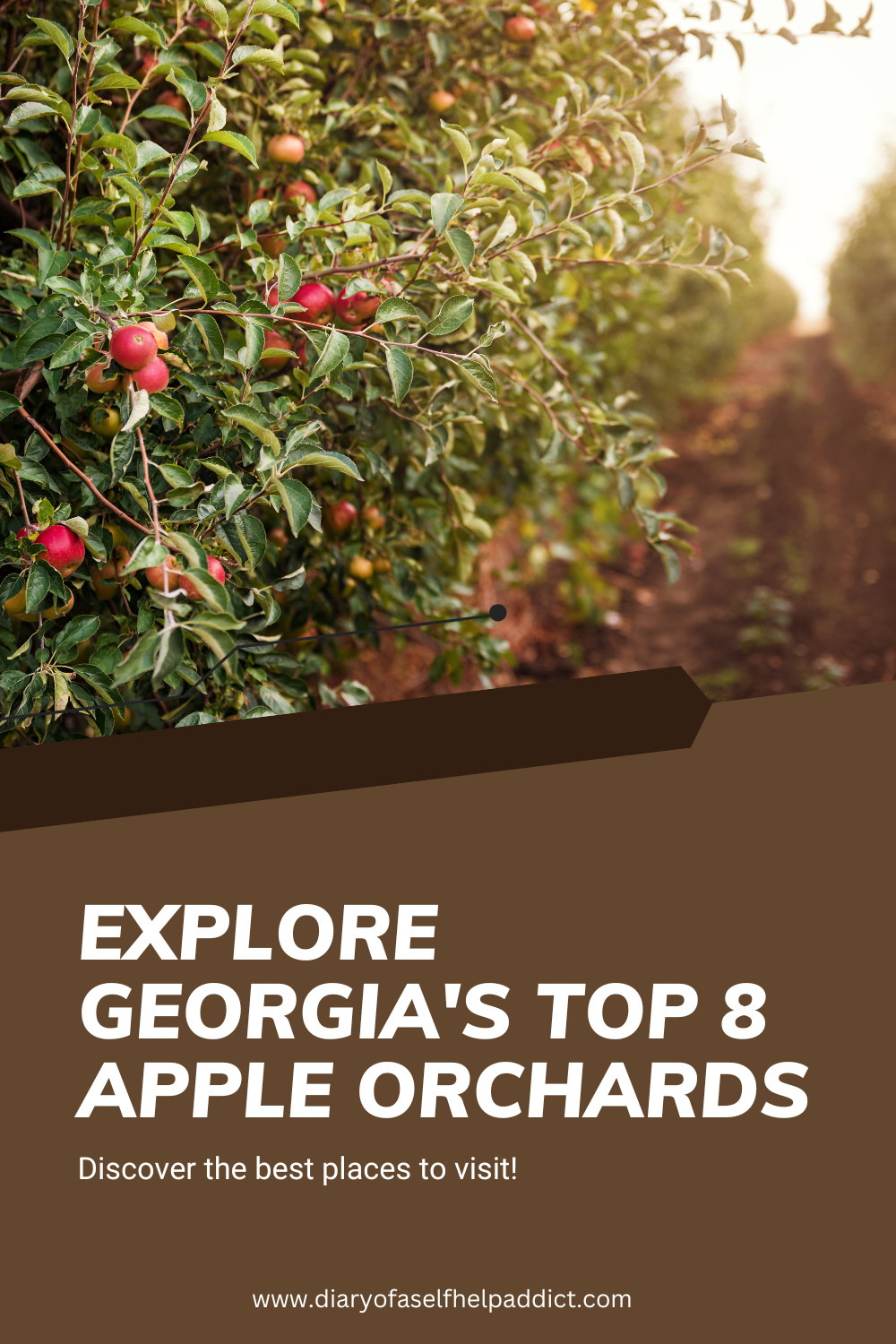 explore georgia's top 8 apple orchards