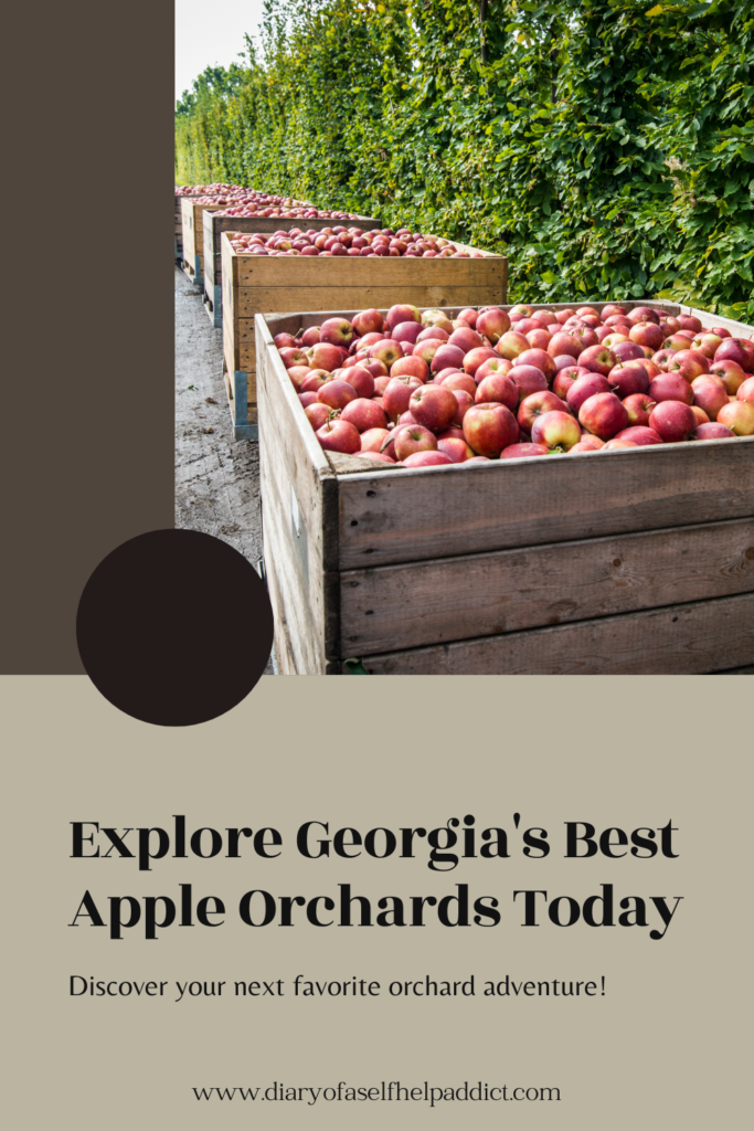 explore goergia's best apple orchards today