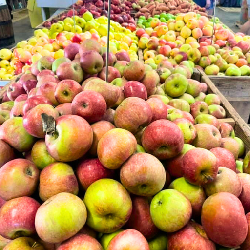 Hillcrest Apple Orchards Ellijay Georgia