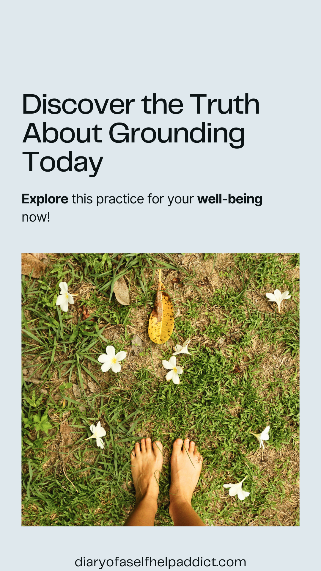 discover the truth about grounding today