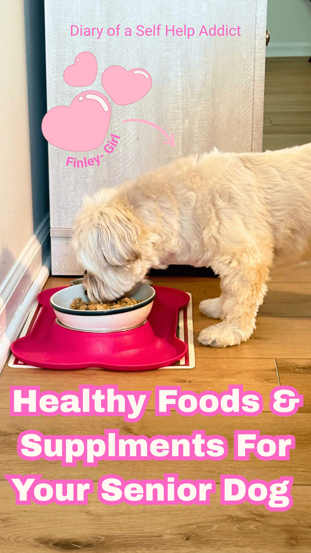 Finley girl puppy eating from her dog bowl filled with her favorite turkey meatloaf