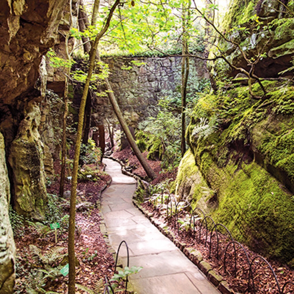 rock city chattanooga