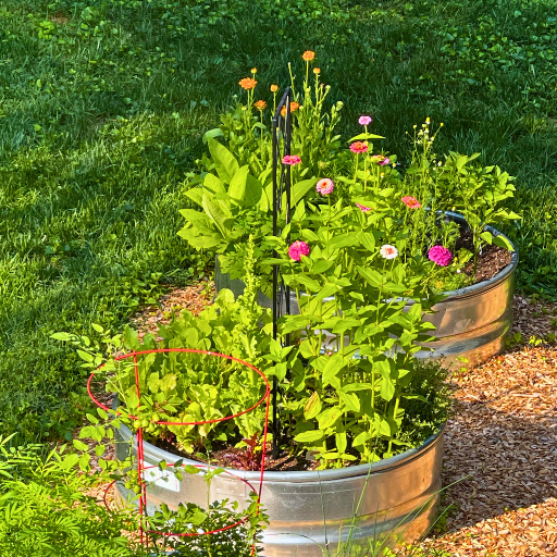 Kelly's Organic Garden