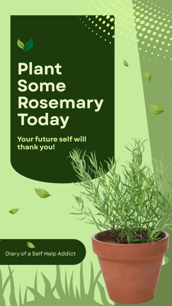 Plant Some Rosemary Today