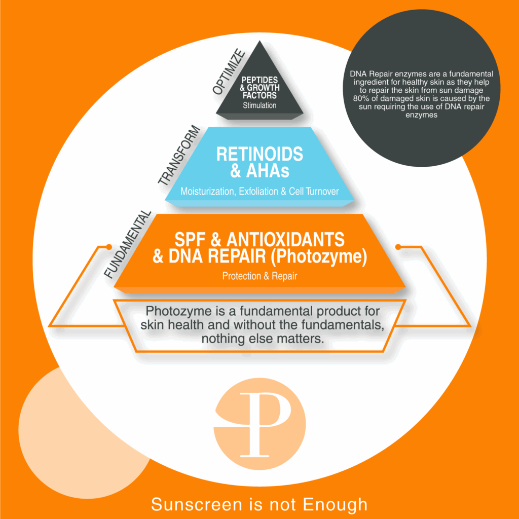 photozyme marketing materials about DNA Repair enzymes