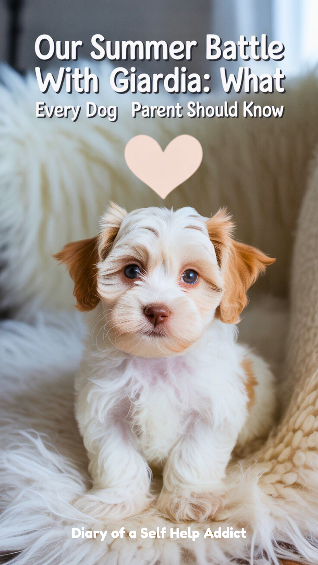 Soft beige and cream background with a cozy, heartwarming vibe. A photo of a golden-brown pup (or dog silhouette) sitting with a small heart above. Bold text overlay: “Our Summer Battle with Giardia: What Every Dog Parent Should Know”
