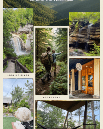 A collage featuring Looking Glass Falls, Moore Cove Falls, hikers crossing a forest trail, mountain scenery, coffee shops, live music, and a happy dog enjoying the adventure, vibrant travel magazine style, realistic photography.