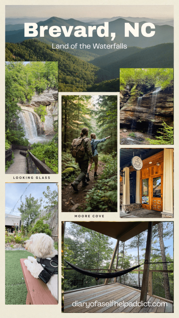 A collage featuring Looking Glass Falls, Moore Cove Falls, hikers crossing a forest trail, mountain scenery, coffee shops, live music, and a happy dog enjoying the adventure, vibrant travel magazine style, realistic photography.