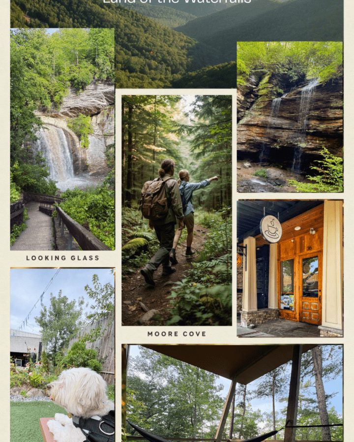 A collage featuring Looking Glass Falls, Moore Cove Falls, hikers crossing a forest trail, mountain scenery, coffee shops, live music, and a happy dog enjoying the adventure, vibrant travel magazine style, realistic photography.