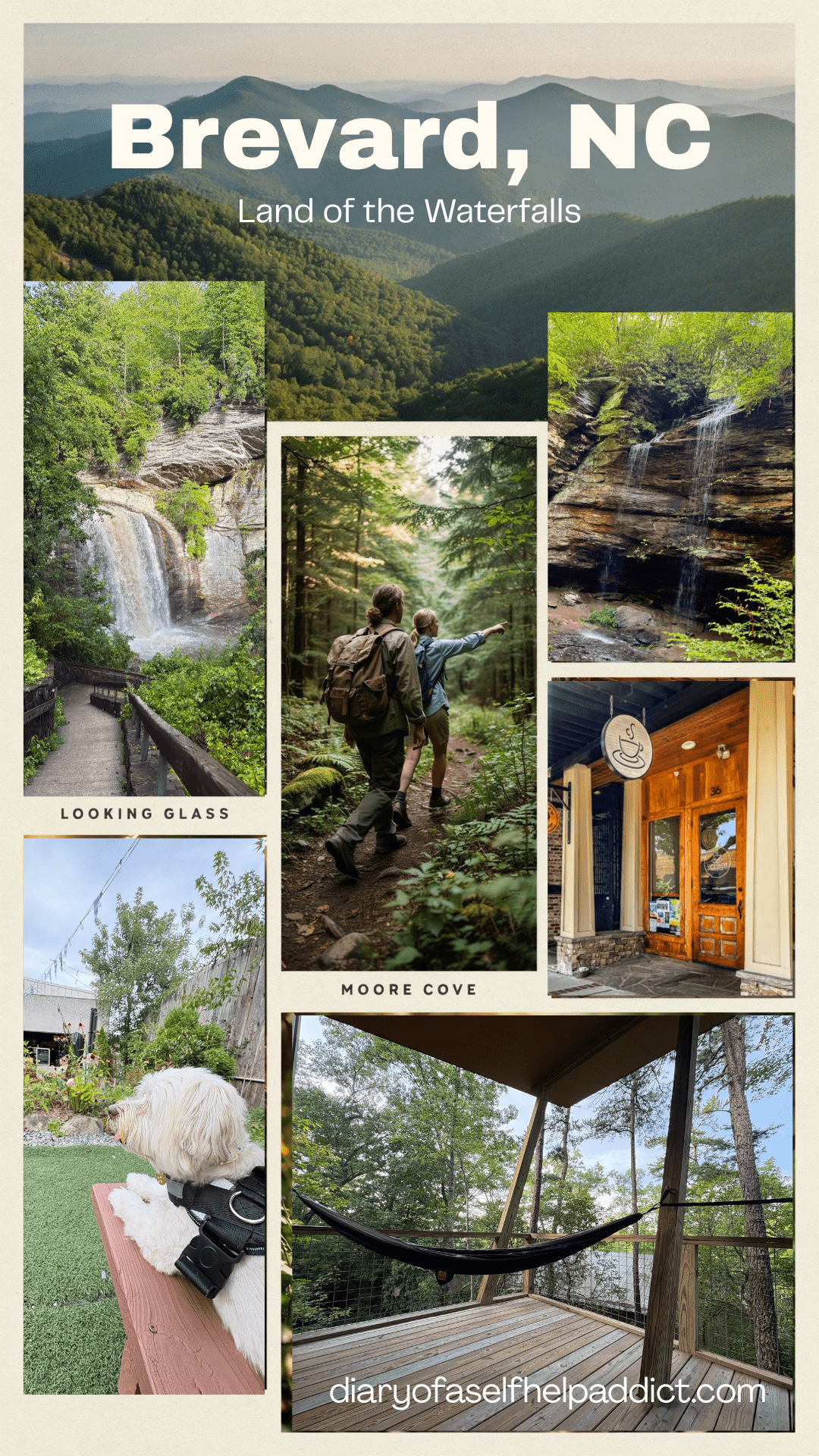 A collage featuring Looking Glass Falls, Moore Cove Falls, hikers crossing a forest trail, mountain scenery, coffee shops, live music, and a happy dog enjoying the adventure, vibrant travel magazine style, realistic photography.