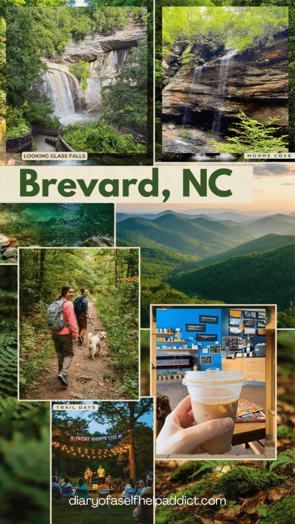 A collage featuring Looking Glass Falls, Moore Cove Falls, hikers crossing a forest trail, mountain scenery, coffee shops, live music, and a happy dog enjoying the adventure, vibrant travel magazine style, realistic photography.