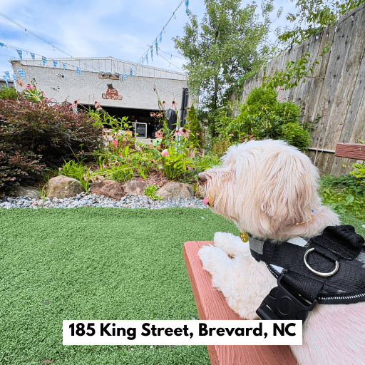 185 King Street, Brevard, NC