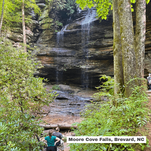 Moore Cove Falls, Brevard, NC